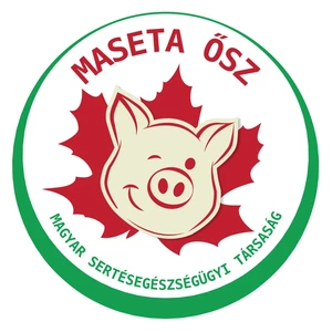 MASETA Ősz 2024